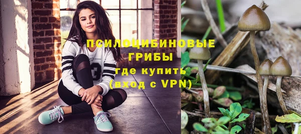 ешки Богородицк