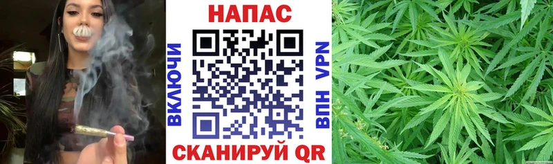 Бошки Шишки ГИДРОПОН  гидра ССЫЛКА  Кондопога 